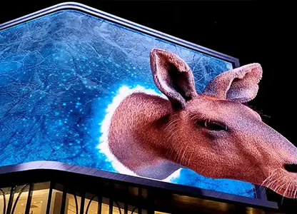 3D Video Wall